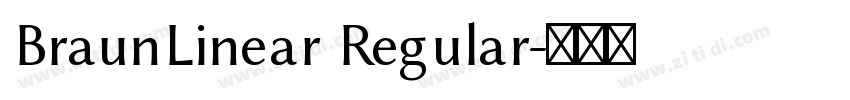 BraunLinear Regular字体转换
